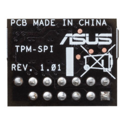 Asus Trusted Platform Module 2.0 - TPM-SPI