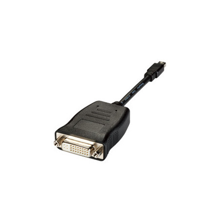 Mini DisplayPort (Male) to DVI (Female) adaptor  