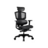Cougar ARGO-ONE-BLACK Ergonomic Gaming Chair