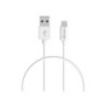 CHARGE SYNC LIGHTNING CABLE 50CM - WHT