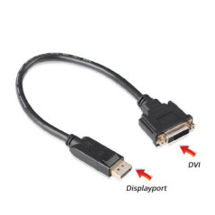 UGREEN DisplayPort male to DVI female converter (20405)