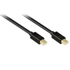 10M Orange Cat5E UTP Cable