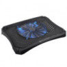 THM FAN NB-MASSIVE-V20