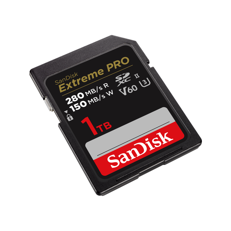 SanDisk 1TB Extreme PRO SDXC UHS-II Card (SDSDXEP-1T00-GN4IN)