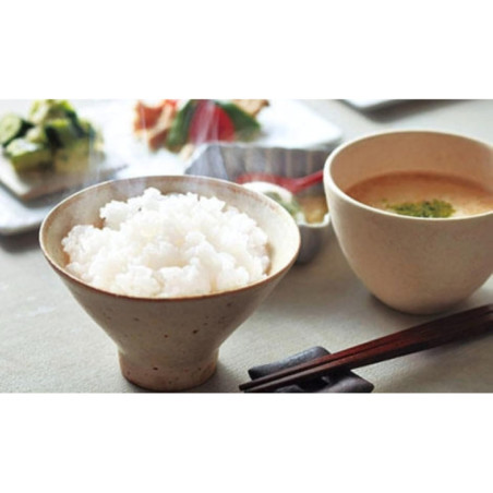 TIGER JPW-G18A Induction Heating Multi-Functional 10 Cup 1.8L Rice Cooker