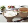 TIGER JPW-G18A Induction Heating Multi-Functional 10 Cup 1.8L Rice Cooker