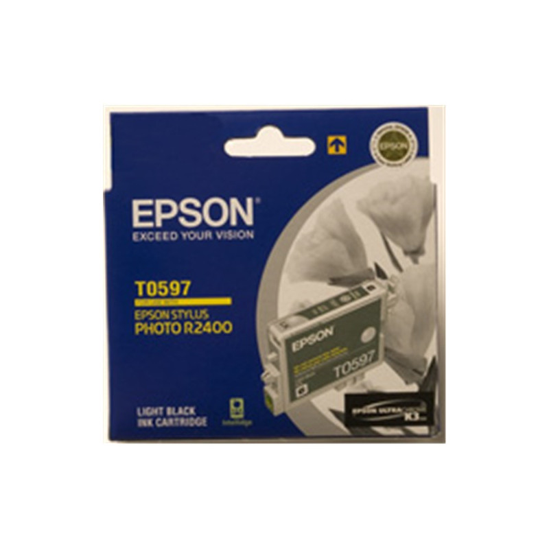 LIGHT BLACK CARTRIDGE; R2400