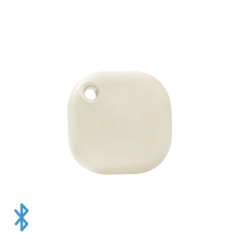 SHELLY BLU BUTTON TOUGH 1 IVORY
