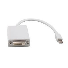 8WR ACC MINI-DISPLAYPORT-DVI-0.2M