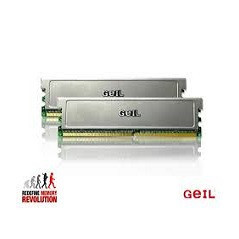GEI MEM 2-DUAL-2x512-667-C5