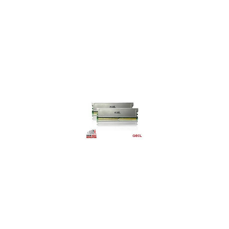 GEI MEM 2-DUAL-2x512-667-C5
