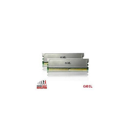 GEI MEM 2-DUAL-2x512-667-C5