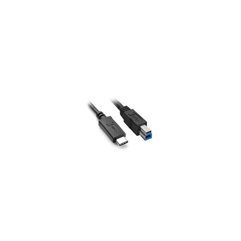 8WR CNV USB3.1-TYPE-C-B-M/M-1M