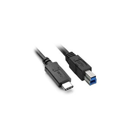 8WR CNV USB3.1-TYPE-C-B-M/M-1M