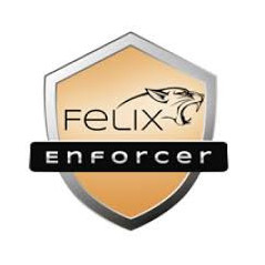FLX SOF ENFORCER-SEC-1USR-12M-OEM