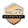 FLX SOF ENFORCER-SEC-1USR-12M-OEM