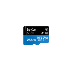 LXR FLS MICROSD-256GB-LSDMI256BB633A