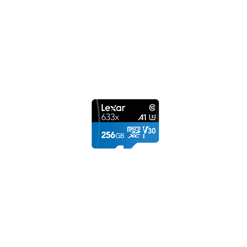 LXR FLS MICROSD-256GB-LSDMI256BB633A