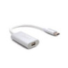 Oxhorn  Type C to Mini DisplayPort Adapter