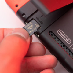 SanDisk 1TB Nintendo-Licensed Memory Cards For Nintendo Switch (SDSQXAO-1T00-GN6ZN)