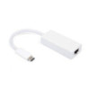 Astrotek Thunderbolt USB 3.1 Type-C USB-C to RJ45 Gigabit Ethernet LAN Network Adapter for HP Lenovo Asus iPad Pro Macbook Air M