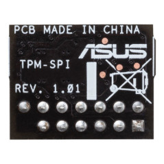 Asus Trusted Platform Module 2.0 - TPM-SPI