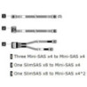 THINKSYSTEM SR250 V2 X350/X40 RAID CABLE