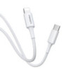 Pisen Mr White Lightning to USB-C PD Fast Charge Cable (1M) White - Support Charge 3A, Stretch-Resistant, Reinforced,Durable,App