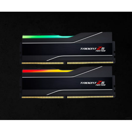 G.SKILL F5-6000J2636H24GX2-TZ5NR 48GB (2 x 24GB)/ AMD EXPO/ DDR5  6000 MT/s/ Timings 26-36-36-96/Voltage 1.45V/ Heatsink TZ5 Neo