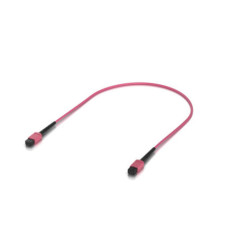 Ubiquiti Indoor OM4 Multi-mode Fiber Patch Cable, 0.5M, Single-pack, With MPO-12 Type B UPC Connectors, Designed For 100G Applic