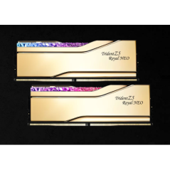 G.SKILL F5-6000J2636H24GX2-TR5NG 48GB (2 x 24GB)/AMD EXPO/ DDR5 6000 MT/s/ Timings 26-36-36-96 Voltage 1.45 V EXPO TZ5 Royal Neo