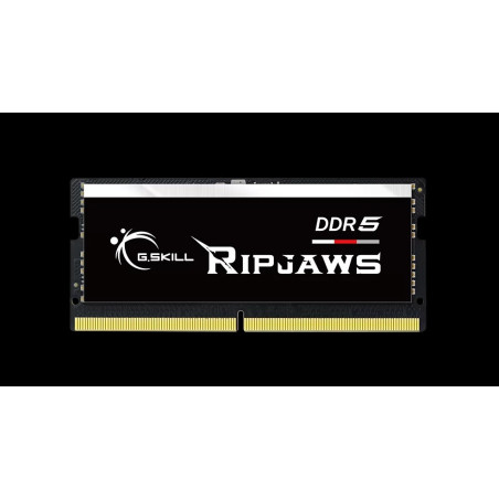 G.SKILL F5-5600S4040A32GX1-RS 32GB (1 x 32GB)/ DDR5 5600 MT/s / Timings 40-40-40-89/ Voltage 1.1V/XMP 3.0