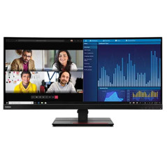 LENOVO P34W-20 34.14" WLED IPS CURVE WQHD (21:9), HDMI(2), DP, USBC, USB, LAN, H/ADJ, 3YR