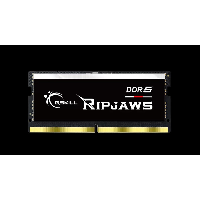 G.SKILL F5-5600S4645A48GX1-RS 48GB (1 x 48GB)/ DDR5 5600 MT/s / Timings 46-45-45-89/ Voltage 1.1V