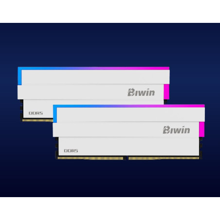 BIWIN DDR5 Memory DW100 DDR5 RGB Memory 6000mhz 32GB (16GB*2) CL30-38-38-76 1.35V  WHITE B5DW100326030ER2G-CW001