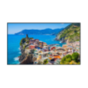 PANASONIC 50 TH-50EQ2W 4K 500NITS 50001 CONTRAST HAZE 25PCT 14.9MM BEZEL
