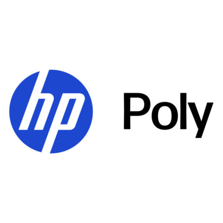 HP POLY CCX 400 WALLMOUNT KIT