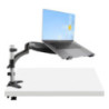 STARTECH LAPTOP ARM DESK MOUNT, ARTICULATING, H/ADJ, 5 YR