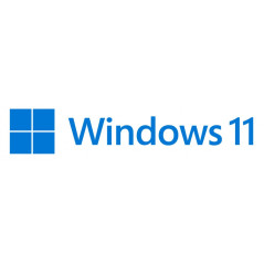 Microsoft HAV-00163 Windows 11 Pro retail box