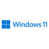 Microsoft HAV-00163 Windows 11 Pro retail box