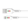 DULL Co. USB-A to Lightning Cable