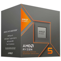 AMD CPU RYZEN5-8600G