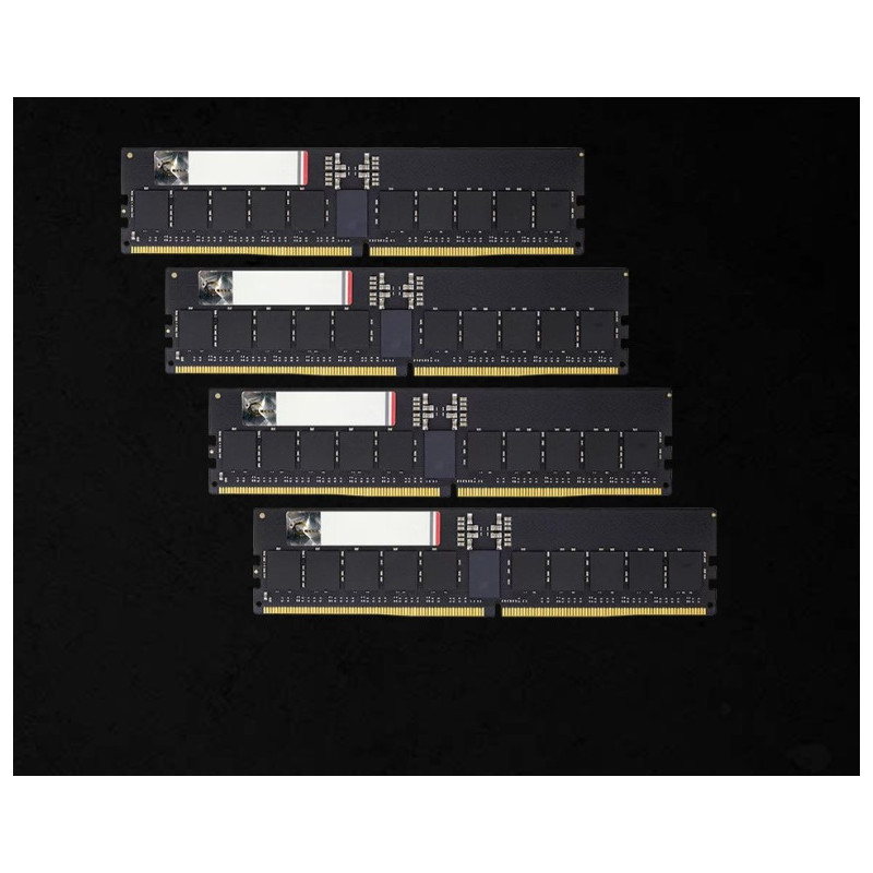 G.SKILL F5-6000R3036G16GQ4-G5N 64GB (4 x 16GB)/ DDR5 6000 MT/s/ Timings 30-36-36-96/ Voltage 1.4V/ EXPO