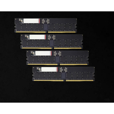 G.SKILL F5-6000R3036G16GQ4-G5N 64GB (4 x 16GB)/ DDR5 6000 MT/s/ Timings 30-36-36-96/ Voltage 1.4V/ EXPO
