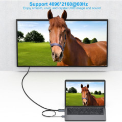 BENFEI 344GY-5M HDMI to DisplayPort Unidirectional 4K Active Cable with USB Powered 5M