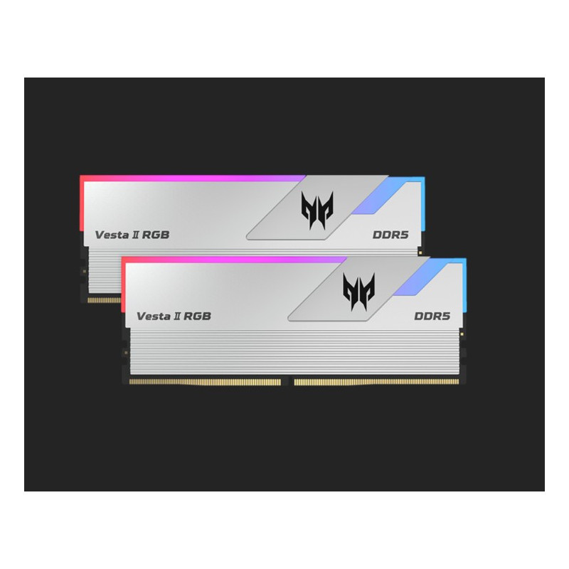 PREDATOR VESTAII DDR5 6000 MHz 32GB (16GB*2) 1R*8 PC5 6000 CL36-45-45-96 Supports XMP 3.0 & EXPO Silver BL.9BWWR.653