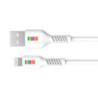DULL Co. USB-A to Lightning Cable