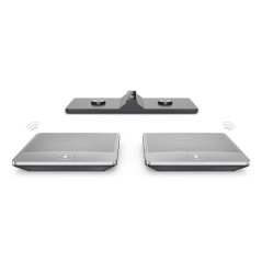 YEALINK (CPW90PACKAGE) CPW90 WIRELESS MICS(2), PWR ADAPTER,CHARGER CRADLE, 1.8M USB CABLE