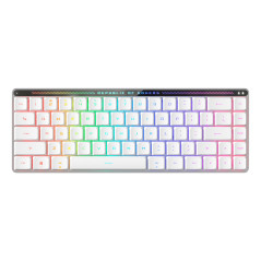 ROG FALCHION RX LOW PROFILE [RED SW] 2Y