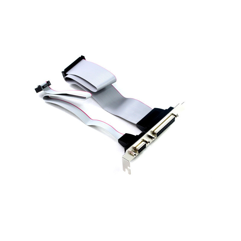 30CM Parallel & Serial Port Motherboard Header